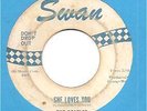 Beatles 45 SWAN [white blue label] She Loves You