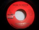 Harvey Scales & Seven Seas , Magic Touch Label 3002 45