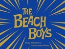 rare THE BEACH BOYS good vibrations 2x10 RSD #'d LTD 78