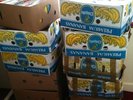 +/- 4000 Nederlandstalige single afkomstig uit Belgie