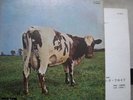 PINK FLOYD / ATOM HEART MOTHER - Japan G/F LP ORIG