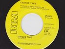 CARROT TREE 1969 DEMENTED TRIPPY CIRCUS PSYCH 45 LISTEN
