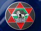 DON CARLOS McCarlos-I Love Jah-NEGUS ROOTS Blue 12” EX