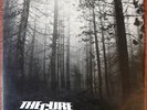 The Cure - A Forest: 12