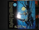 Iron Maiden Fear of the Dark Double LP