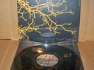 IF THESE TREES COULD TALK - s/t  LP CASPIAN mono GIANTS