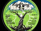Elizabeth Archer & The Equators - Feel Like Making Love