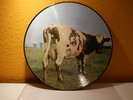 Pink Floyd Atom heart mother Picture Vinyl Disc Disk