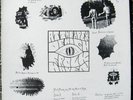 FROLK HAVEN At The Apex Of High lp THE POLICE Psych