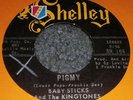 Baby Sticks And The Kingtones Shelly 45 