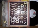 MAYFLY - DUTCH FOLK MASTER PIECE - ARIOLA 56952 IT