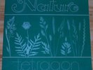 Tetragon Nature Progressive Vinyl LP Amber Soundroom