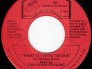 CHOSEN FEW BAND What It Takes  MODERN SOUL 45