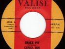 GUNGA DIN Snake Pit Crabcakes RARE RAW FUNK 45 * Listen