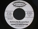 Sounds of Modification on Jubilee   60's garage 45 HEAR