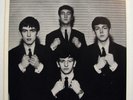 The Beatles Leave My Kitten Alone - MINT picture sleeve