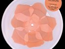 Karen Elson clear vinyl flowers ltd edition Jack White