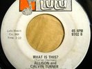 * ALLISON & CALVIN TURNER What Is This NORTHERN FUNK ?