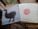 WEB I SPIDER 1970 MINT UK PROGRESSIVE TOP RARITY
