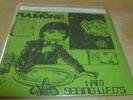 DEE DEE RAMONE I am seeing UFOs 7