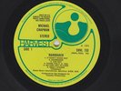 MICHAEL CHAPMAN - RAINMAKER LP - HARVEST LABEL
