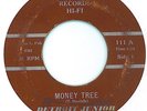 Detroit Junior Money Tree Rare Blues R&B Killer 45 Hear