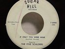 FIVE SCALDERS If Only You SUGAR HILL DETROIT DOO WOP