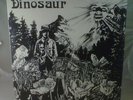 Dinosaur S/T Debut Original Before Dinosaur Jr. EX