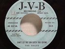 The GALES My Eyes Keep Me Trouble JVB DETROIT DOO WOP
