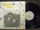 HOLLYWOOD AUTOPSY s/t PRIVATE PRESS local BUTCH VIG
