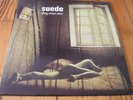 Suede Dog Man Star 2 X 12