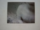 LOREN MAZZACANE CONNORS Violets ST. JOAN Rare Early LP