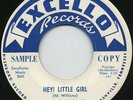 HEAR-Rare Doo Wop 45- The Gladiolas-Hey Little Girl- M-