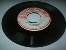 LIVING MUSIC INC./WE ARE AFRICANS - JAH TED [ROOTS] 7