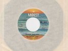 SISTERS LOVE Give Me Your Love MOWEST FUNK 45 MINT
