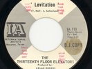 THIRTEENTH FLOOR ELEVATORS- 