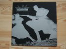 TRUPPENSTURM Fields of Devastation LP Rare Revenge Von