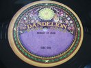 BRIDGET ST JOHN SONGS FOR THE GENTLE MAN DANDELION PEEL