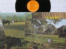 DAYLIGHT-Daylight-ORIGINAL UK RCA LP