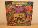 FLAT EARTH SOCIETY Waleeco US 1968 ORIG PSYCH LP MINT-