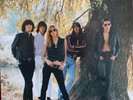 SEX MUSEUM LOS MACANA Fuzztones LP