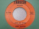 Jerry Waugh & The Skeptics-For My Own RARE GARAGE 45