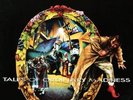 WARREN HAYNES gov't mule Tales of Ordinary 2x180g Vinyl