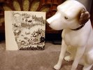 Rare Folk / Psych LP-Mark Levine-Ry Cooder-Pilgrims Pro