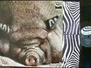 KIN PING MEH “No. 2” orig Zebra w/inner sleeve NM