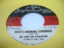 HEAR Rare Northern Soul Garage 45 BIG & THE EVOLUTION