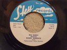 BOBBY ROBERTS Big Sandy 70's RE Sky Record 45rpm SINGLE