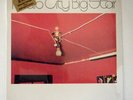 BIG STAR LP Radio City 1974 Akarma Alex Chilton SEALED