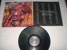 DEMOLITION HAMMER - Tortured Existence LP 1.PRESS Grave