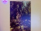 Van Morrison Tupelo Honey Warner Promo Orig. MINT- TOP